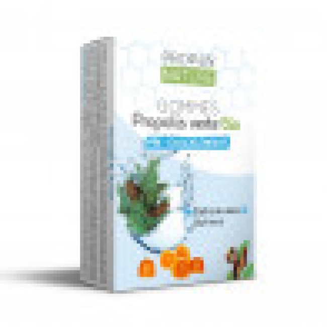 Gommes Propolis Verte bio  Oligoéléments/Pin - Sans Sucres - 45 g- Propos Nature 