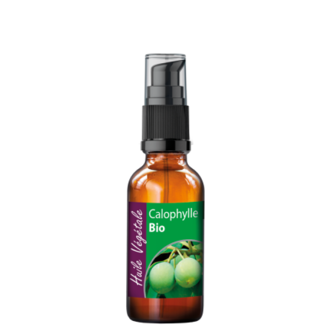 HUILE VEGETALE DE CALOPHYLLE (TAMANU) BIO- Altho- 50ML