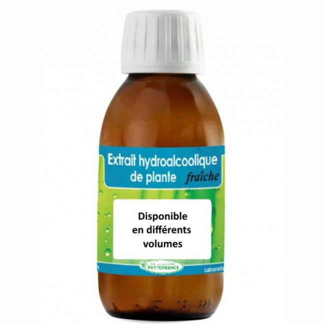 Yam (Igname sauvage) - Teinture mère Dioscorea villosa racines- 60 ml